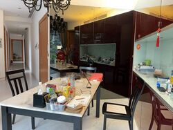 The Edge On Cairnhill (D9), Condominium #466914521